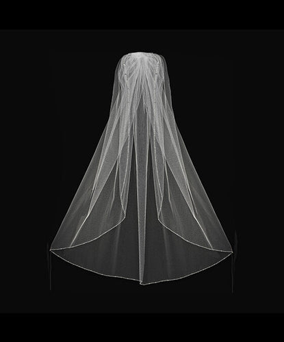 3668 Veil