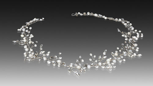 3730 Anja's Dream vine